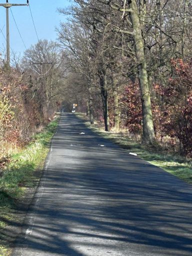 Pausitzer Straße